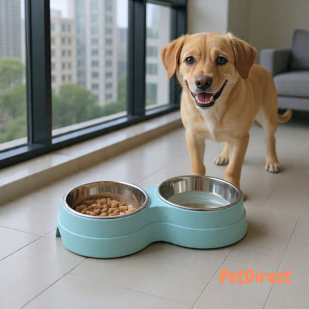 Stainless Steel Double Bowls for Feeding Puppies, Cats, and Small Dogs | Food and Water Feeder