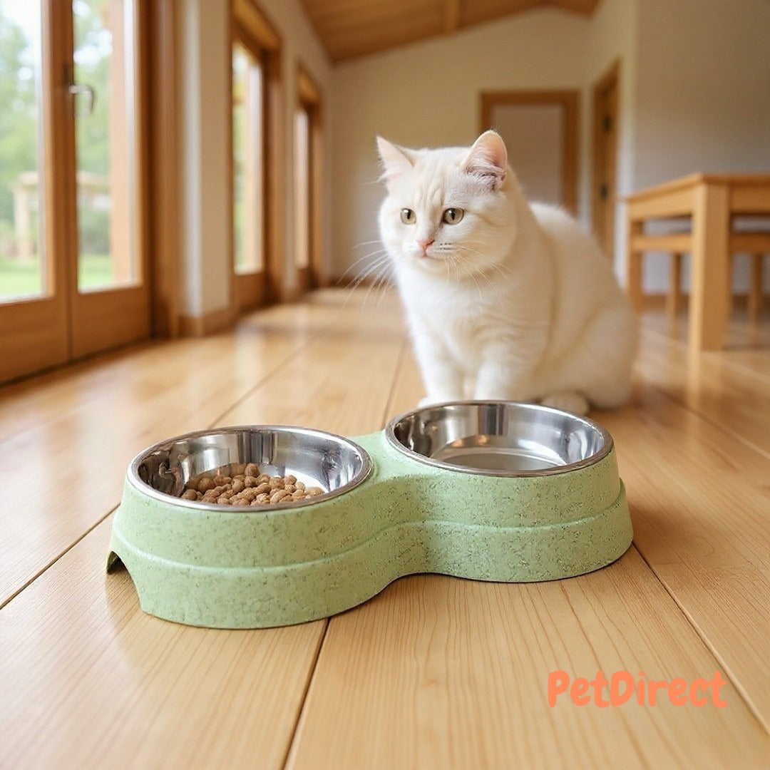 Ciotole Doppie in Acciaio Inox per l'Alimentazione di Cuccioli, Gatti e Cani Piccoli | Mangiatoia Acqua e Cibo