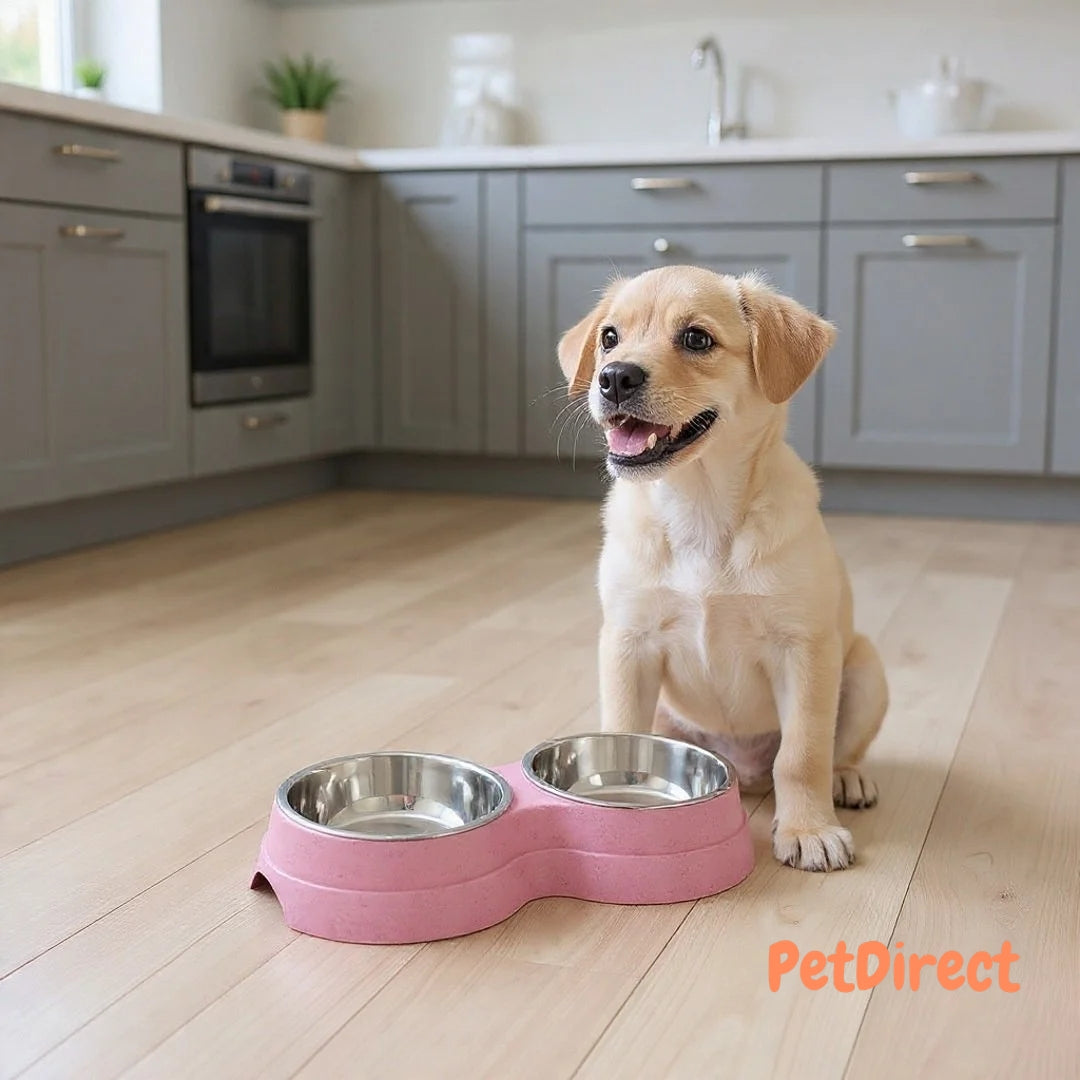 Stainless Steel Double Bowls for Feeding Puppies, Cats, and Small Dogs | Food and Water Feeder