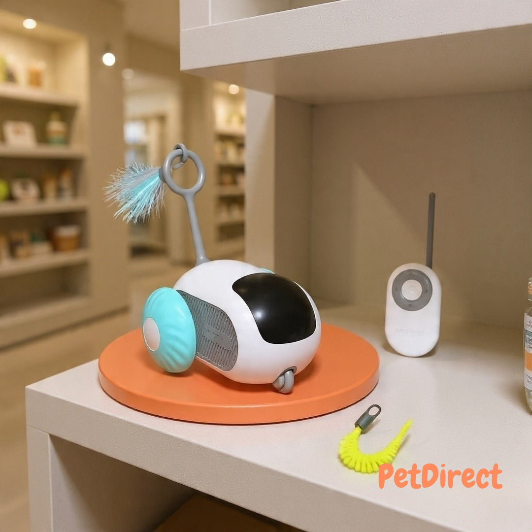 Veicolo Smart Interattivo con Controllo Remoto per Gatti | Macchinina Ricaricabile USB per l'Esercizio e il Gioco Automatico del Gatto
