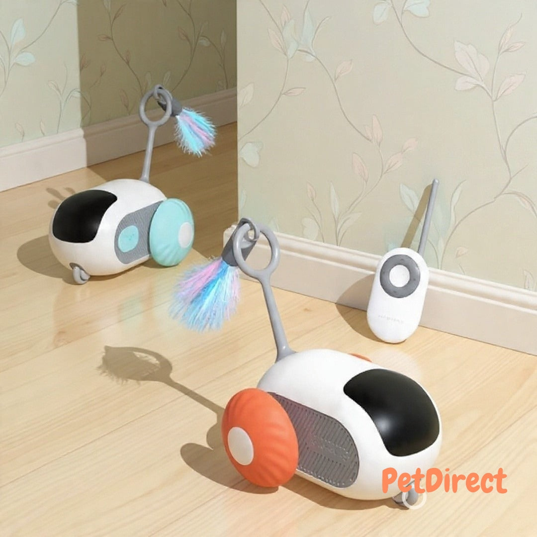 Veicolo Smart Interattivo con Controllo Remoto per Gatti | Macchinina Ricaricabile USB per l'Esercizio e il Gioco Automatico del Gatto