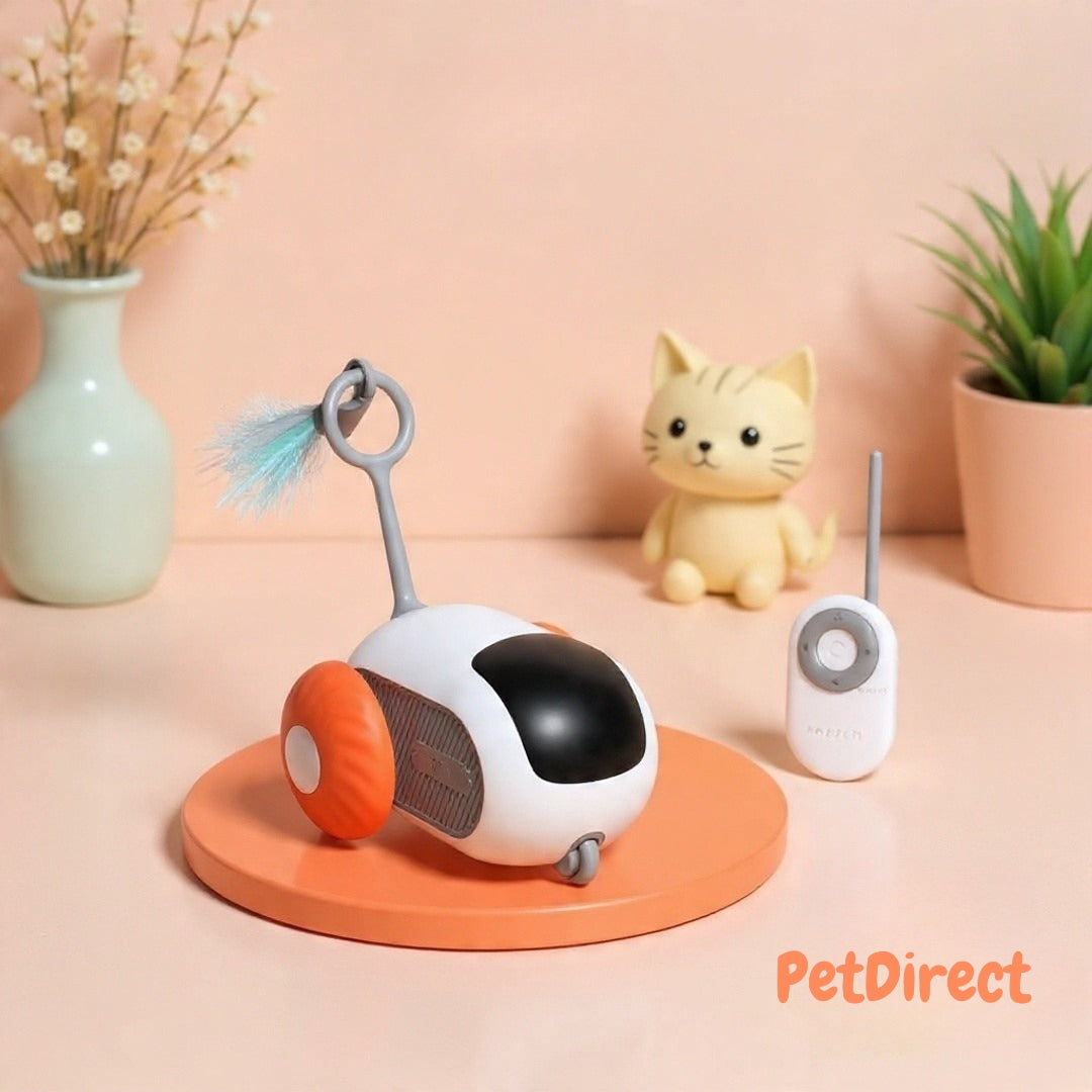 Veicolo Smart Interattivo con Controllo Remoto per Gatti | Macchinina Ricaricabile USB per l'Esercizio e il Gioco Automatico del Gatto