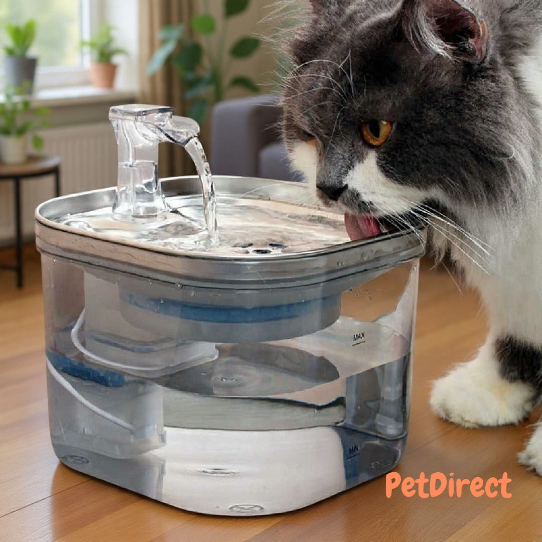 Fontana Acqua Automatica Smart per Gatti e Cani in Acciaio Inox
