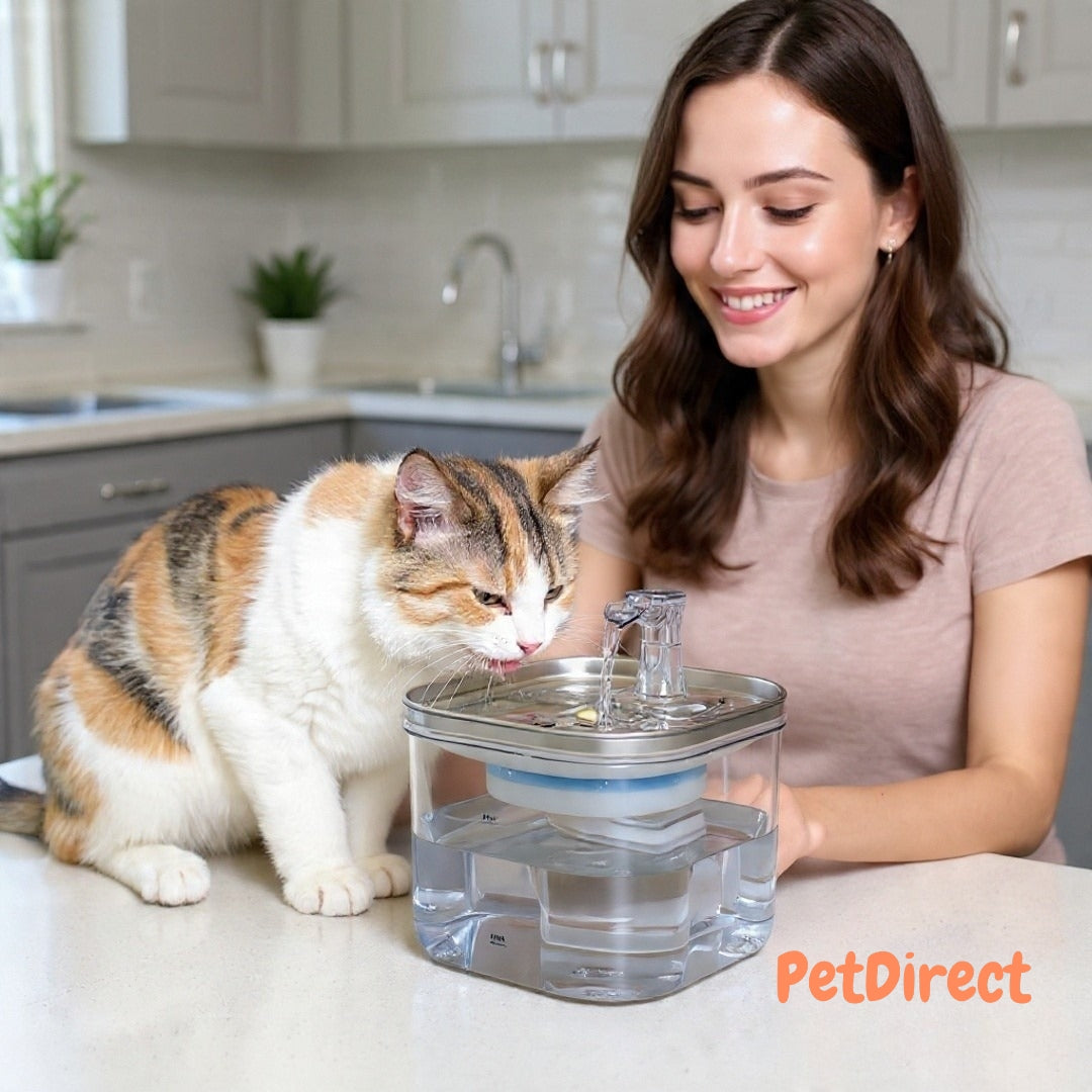 Fontana Acqua Automatica Smart per Gatti e Cani in Acciaio Inox