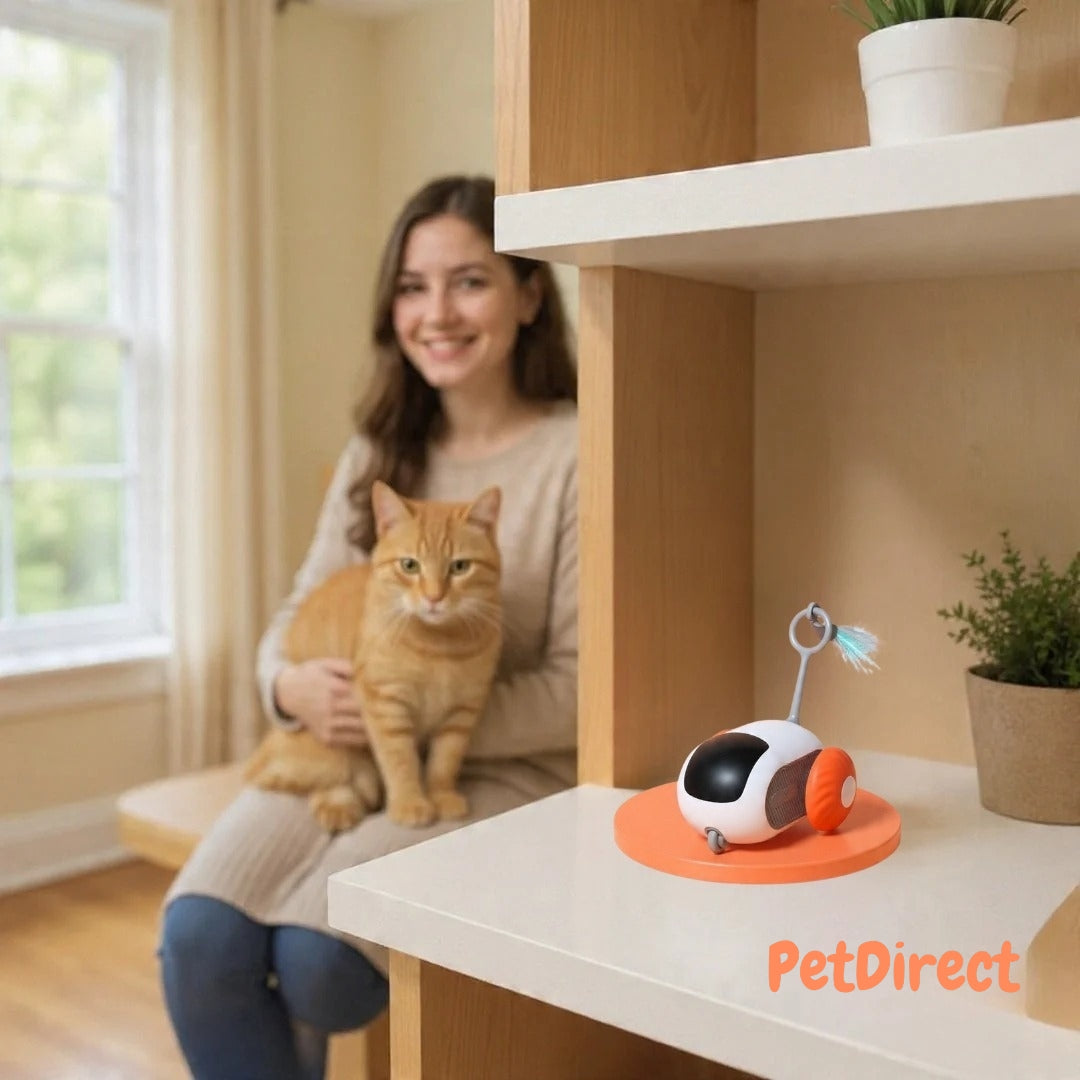 Veicolo Smart Interattivo con Controllo Remoto per Gatti | Macchinina Ricaricabile USB per l'Esercizio e il Gioco Automatico del Gatto
