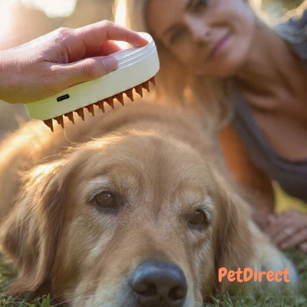 3-in-1 USB Rechargeable Steam Brush for Dogs and Cats | Massage Comb and Spray for Effective Hair Removal