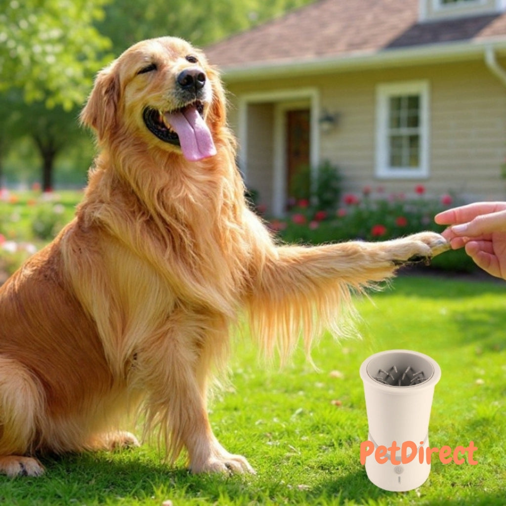 Lavazampe Elettrico Ricaricabile per Cani: Igiene Rapida e Confortevole